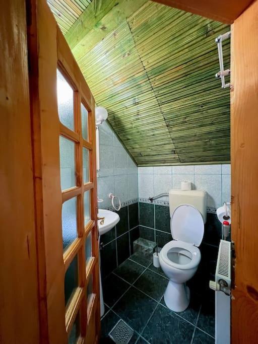 Villa Cabanita à Întorsura Buzăului Extérieur photo