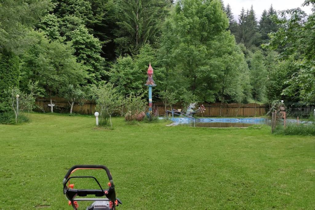 Villa Cabanita à Întorsura Buzăului Extérieur photo