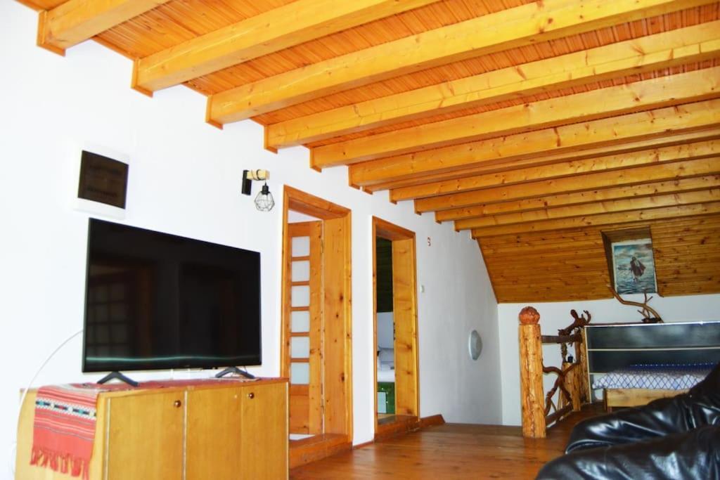 Villa Cabanita à Întorsura Buzăului Extérieur photo