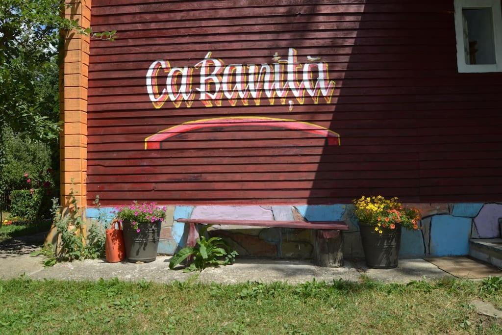 Villa Cabanita à Întorsura Buzăului Extérieur photo
