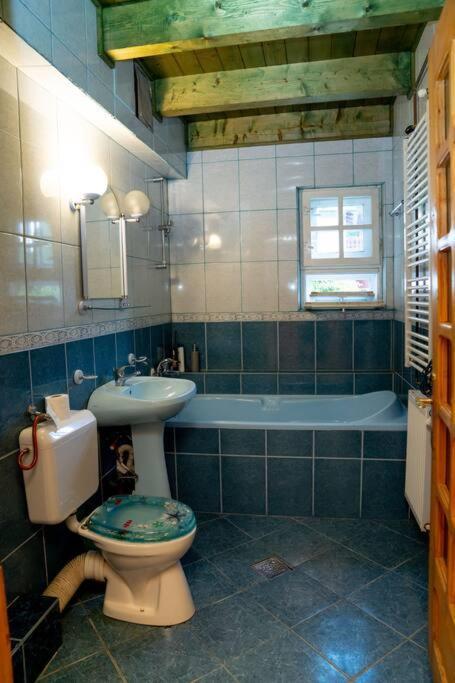 Villa Cabanita à Întorsura Buzăului Extérieur photo