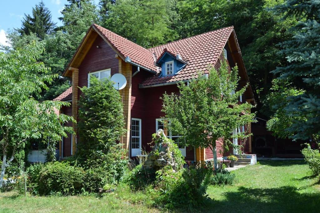 Villa Cabanita à Întorsura Buzăului Extérieur photo