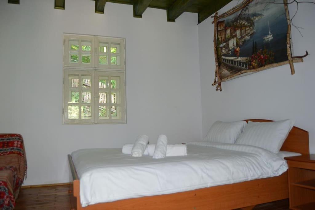 Villa Cabanita à Întorsura Buzăului Extérieur photo
