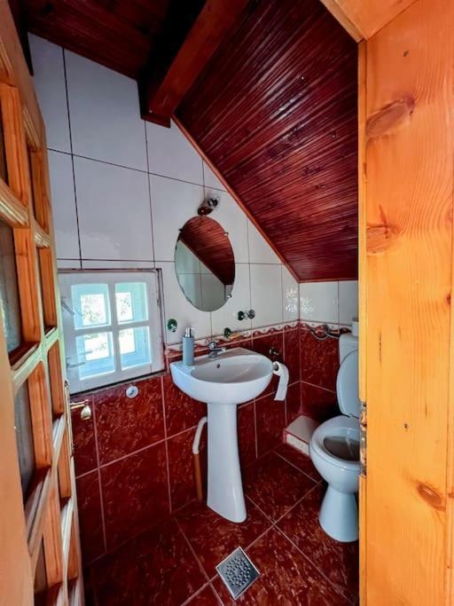 Villa Cabanita à Întorsura Buzăului Extérieur photo