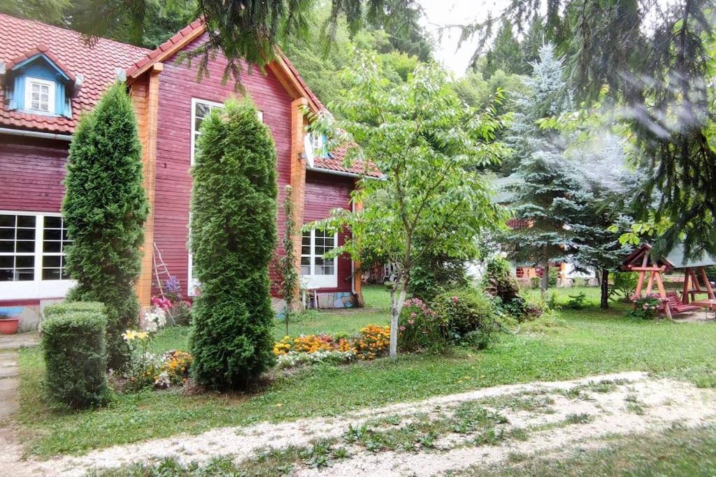Villa Cabanita à Întorsura Buzăului Extérieur photo