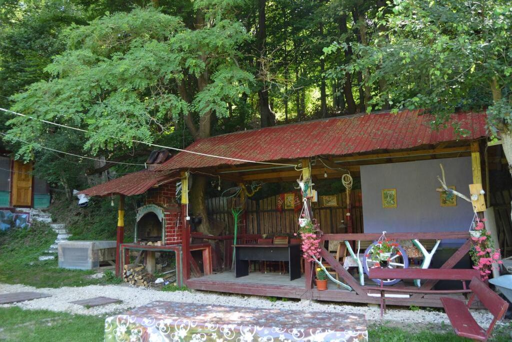 Villa Cabanita à Întorsura Buzăului Extérieur photo