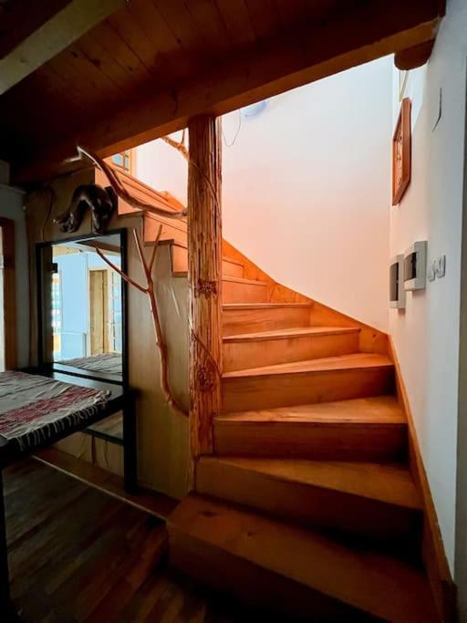 Villa Cabanita à Întorsura Buzăului Extérieur photo